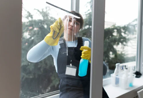 Nettoyage de vitres intérieures et extérieures à Échenevex